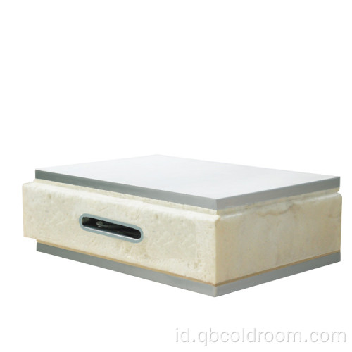 Panel kamar dingin 100mm